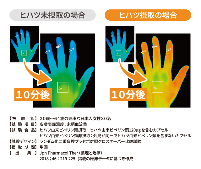 ヒハツ摂取・未摂取の場合