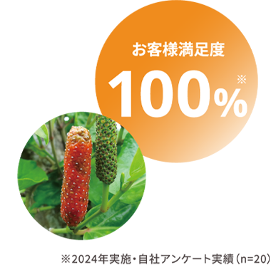 お客様満足度100%