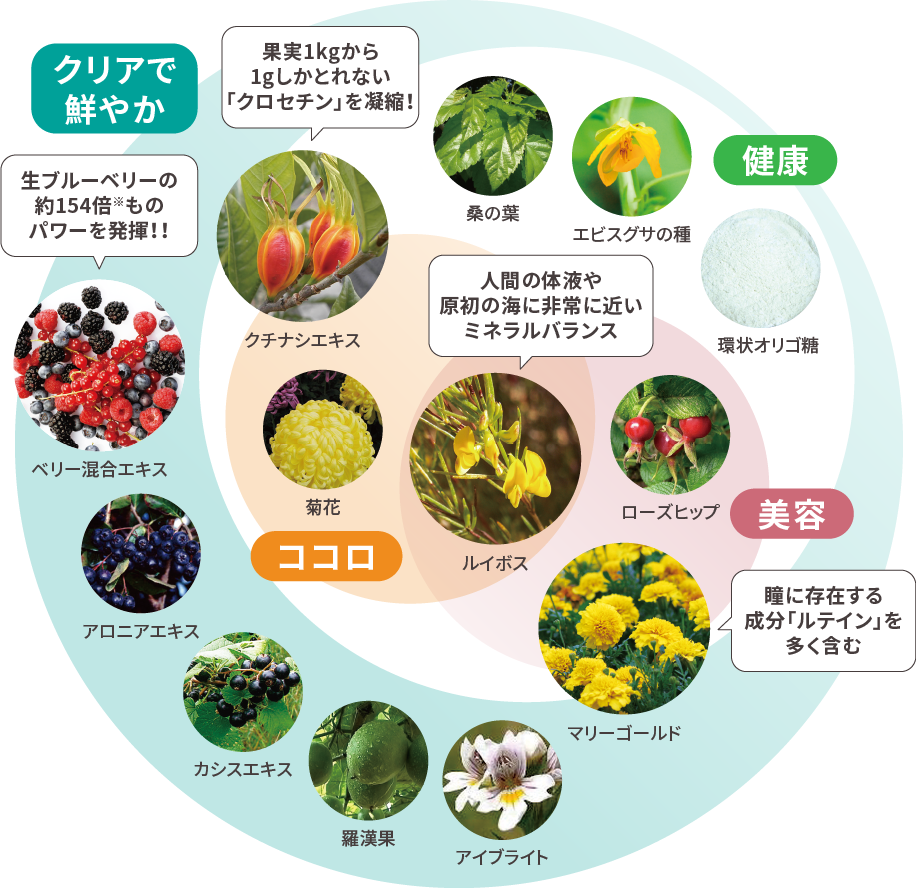 13種類もの厳選素材を配合!