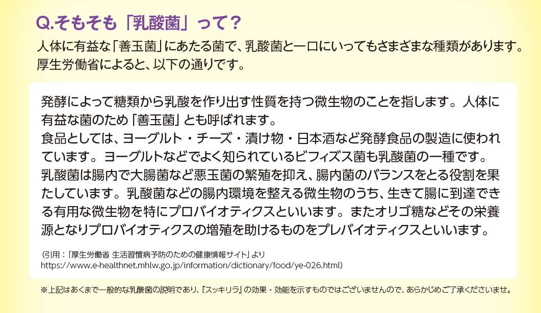 そもそも乳酸菌って?